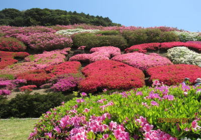 不老山総合公園